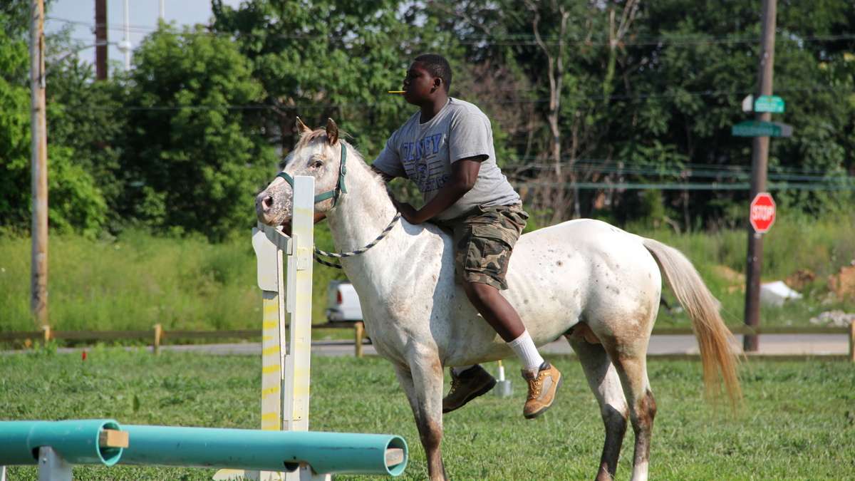 Lou Fletcher, 17, teaches his horse, Montana, to open a gate while practicing for this weekend's horse tuning event. (Emma Lee/WHYY)
